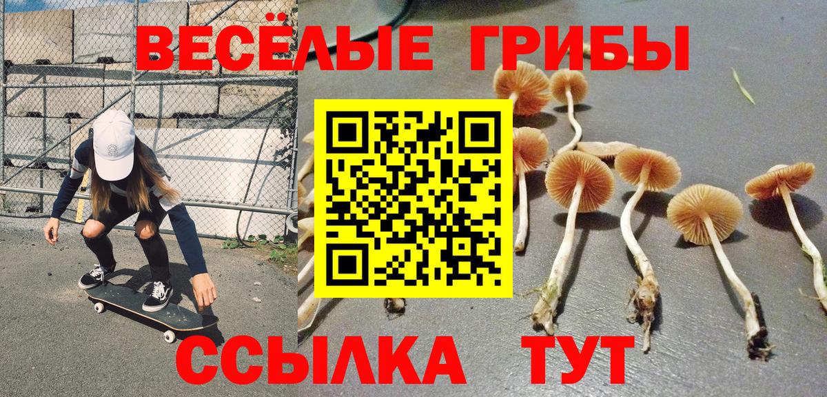 Галлюциногенные грибы Psilocybine cubensis  Вход с VPN  Псилоцибиновые грибы Psilocybine cubensis  Первоуральск 